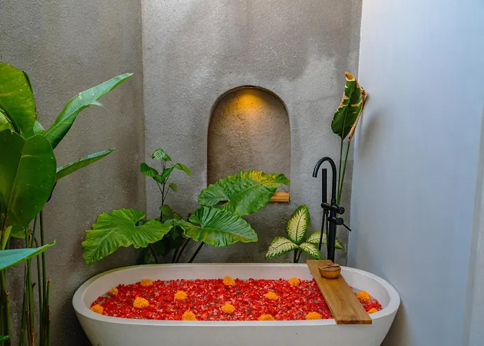 Casa Ariana * أوبود