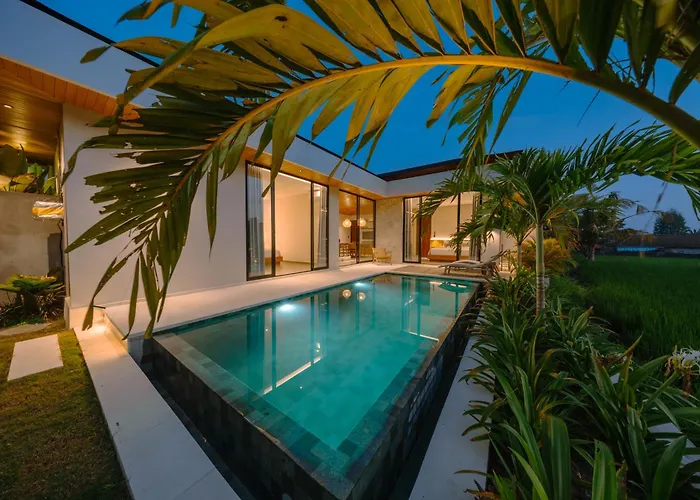 Casa Ariana فيلة أوبود